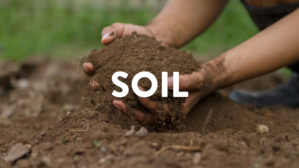 Case Study: Soil
